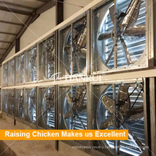 Tianrui Design Air Ventilation System for Battery Cages System